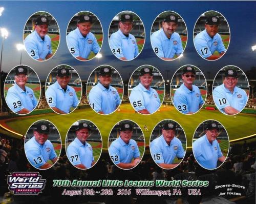 2014 Little League Baseball