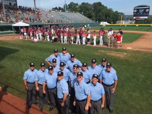 2014 Little League Baseball